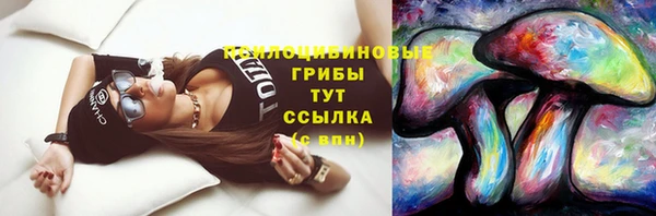дурь Абаза