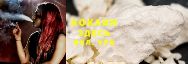 шишки Абинск