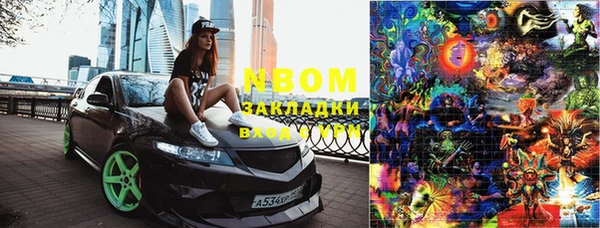 шишки Абинск