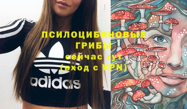 прущие крисы Алексеевка