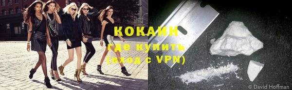 шишки Абинск