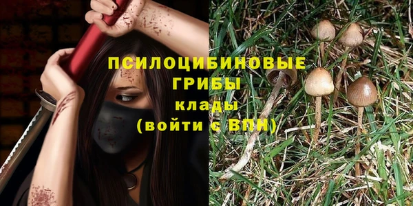 шишки Абинск