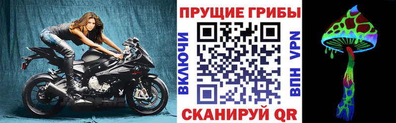 нарко площадка официальный сайт  дарнет шоп  MEGA маркетплейс  Усть-Кут  Псилоцибиновые грибы Magic Shrooms 