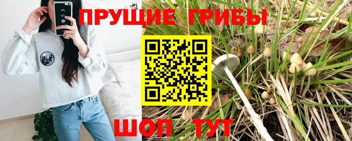 Галлюциногенные грибы мицелий  Вход с VPN  Усть-Кут 