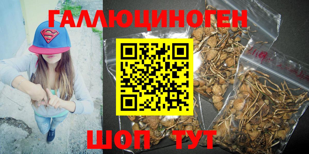 Галлюциногенные грибы мицелий Усть-Кут